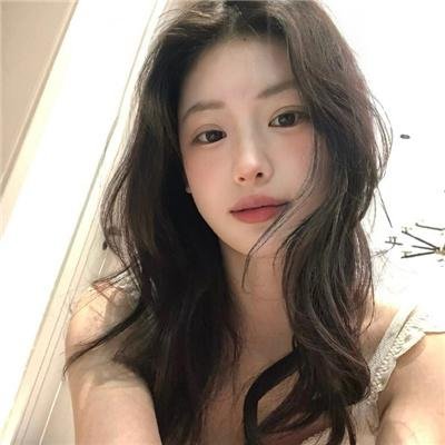 最后的圣殿骑士